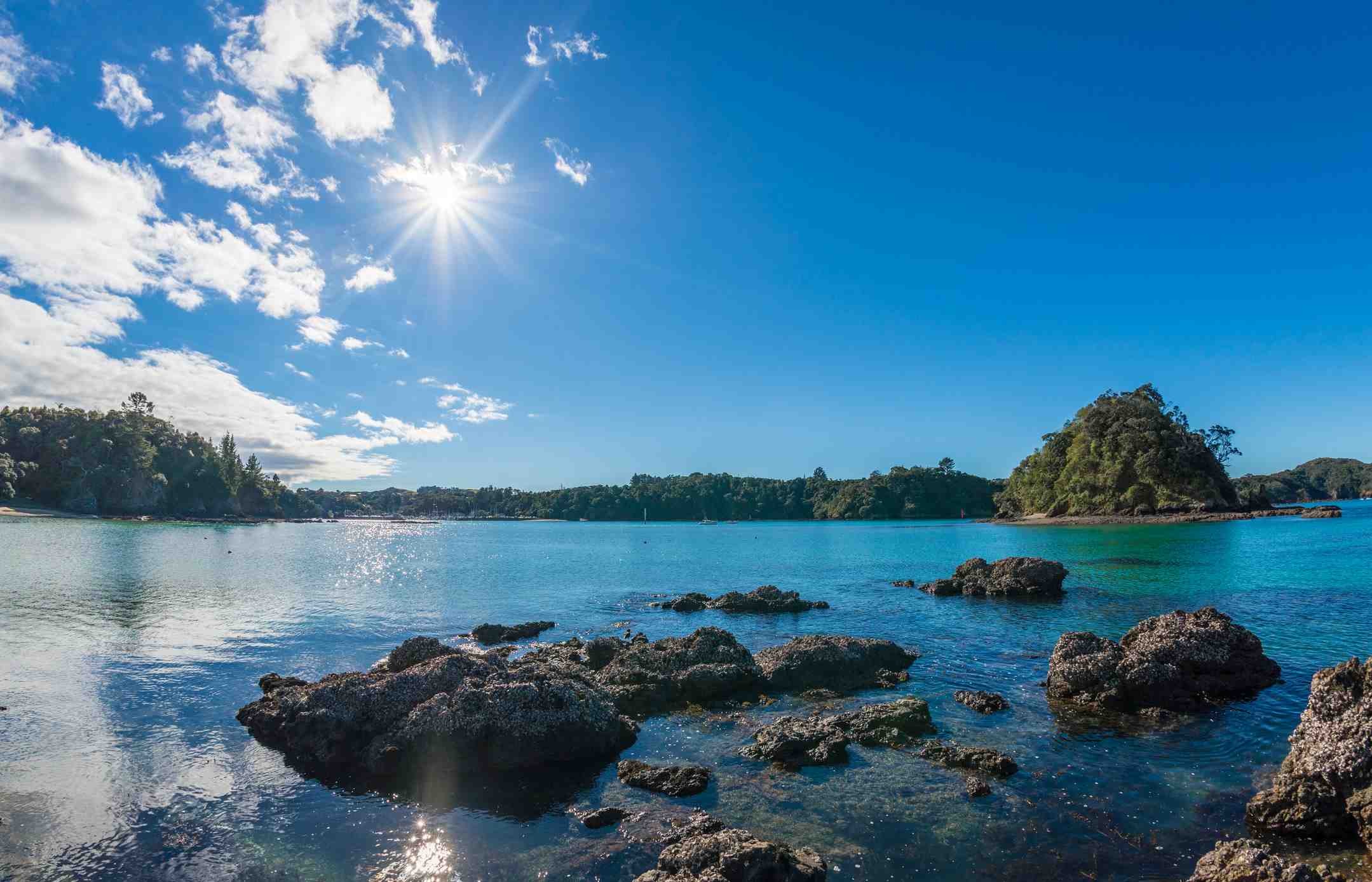 Dentist - Whangarei 3662148