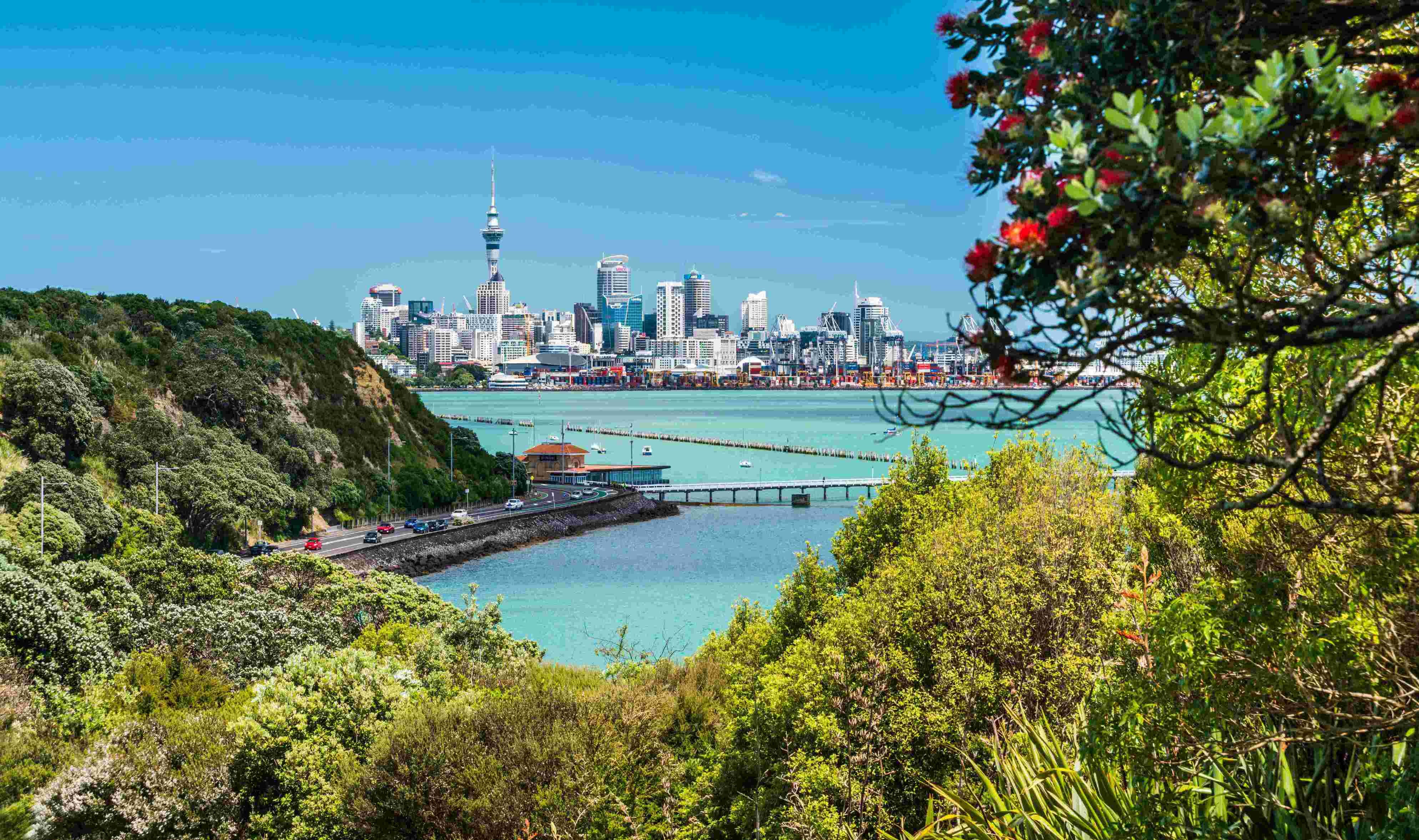 Dentist - Manukau and Mangere, Auckland 3280139