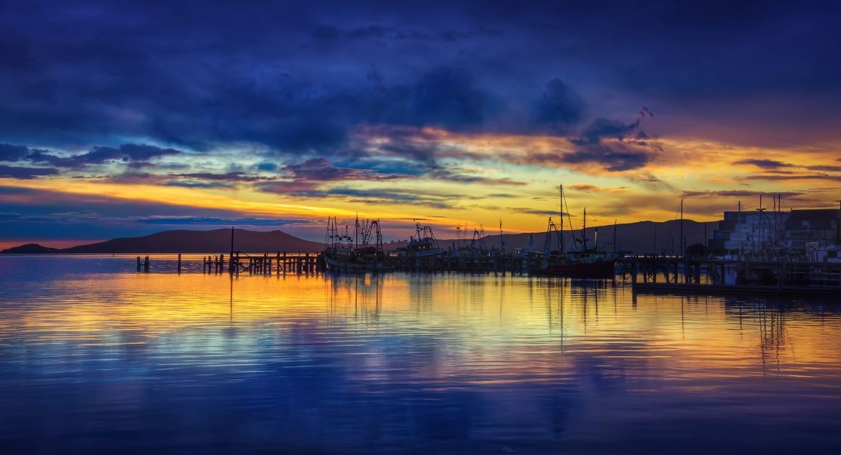 Dentist - Dunedin 35000020