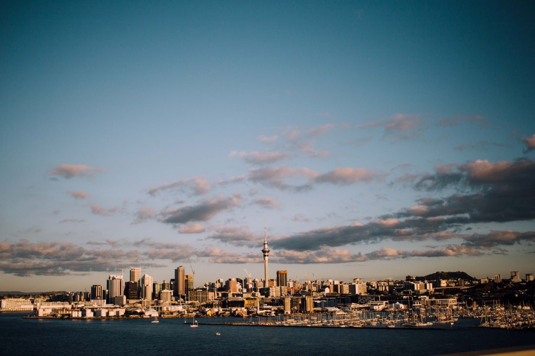 Oral Health Therapist - Auckland CBD 3511900