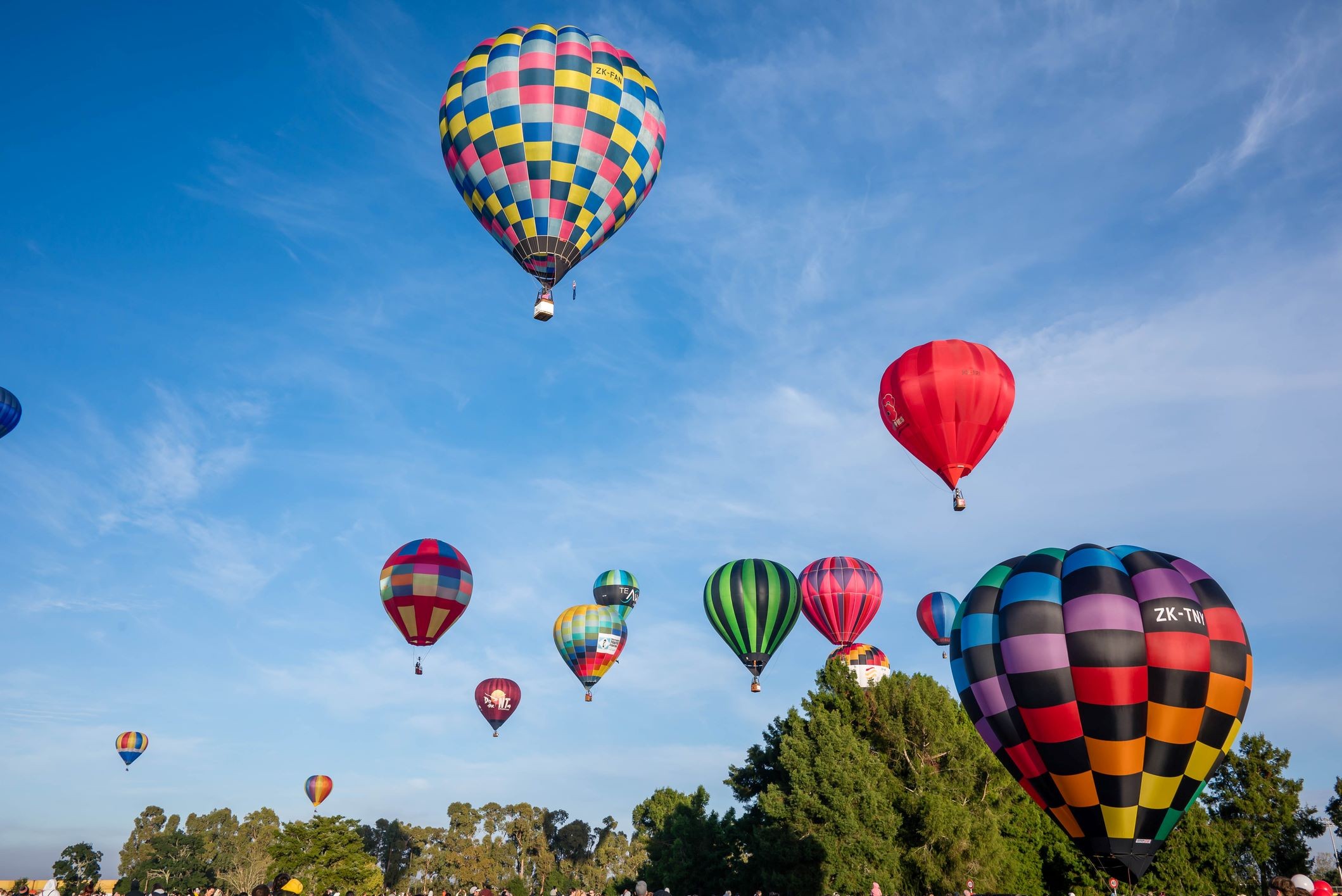 Dentist - Hamilton 3557079