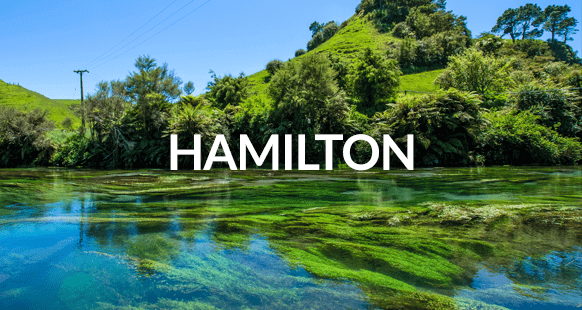 Lead Dentist - Hamilton 3108941