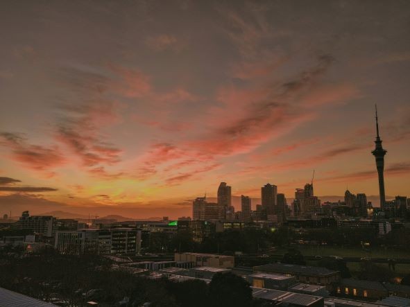 Dentist - Manurewa, South Auckland 3741822