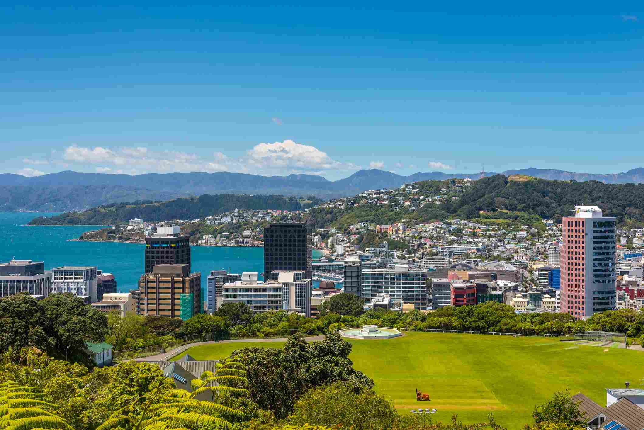Specialists - Lower Hutt