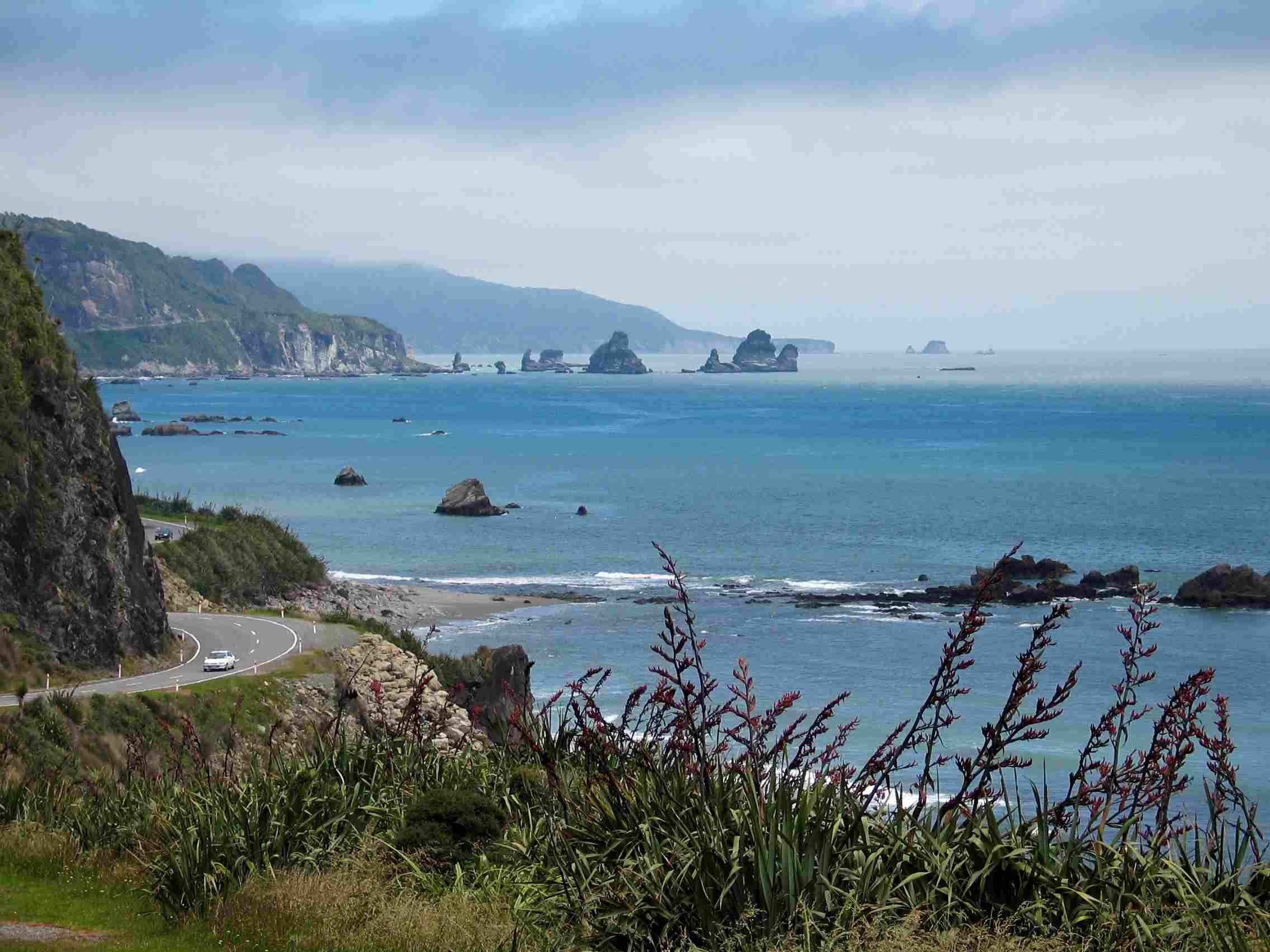 Dentist - Westport 3024211