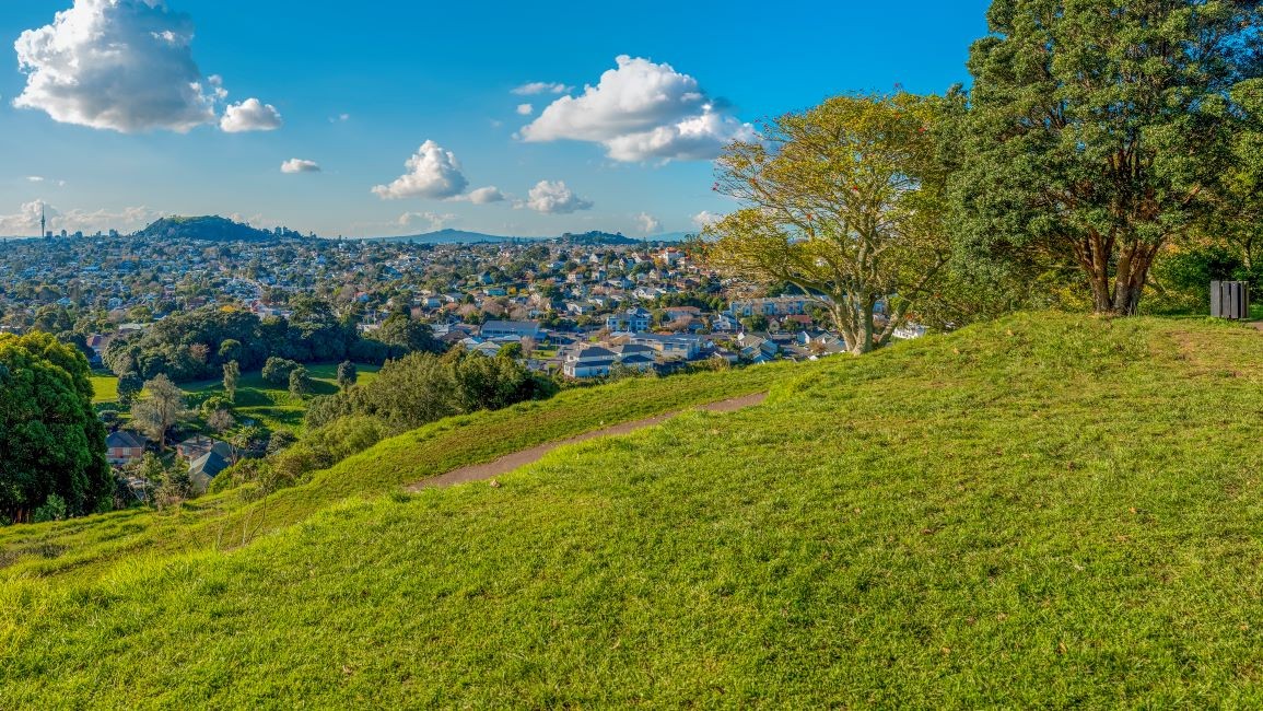 Dentist - Pukekohe 3806743