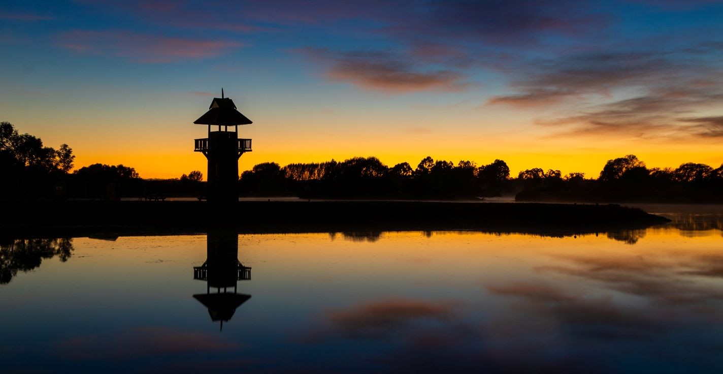 Dentist - Masterton 3499235