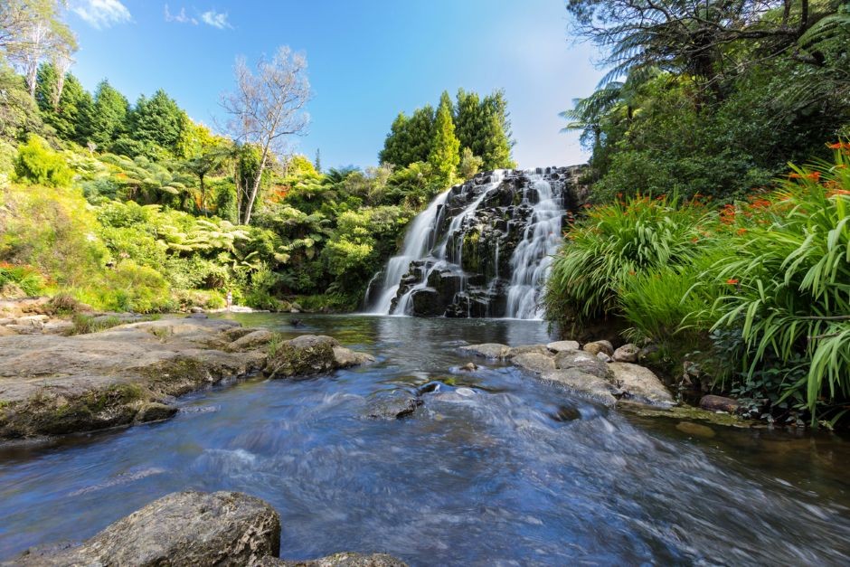 Dentist - Paeroa 3908960