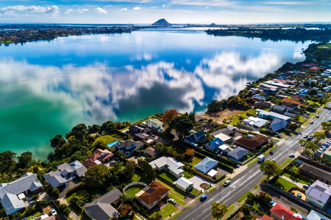 Dentist - Tauranga 3919835