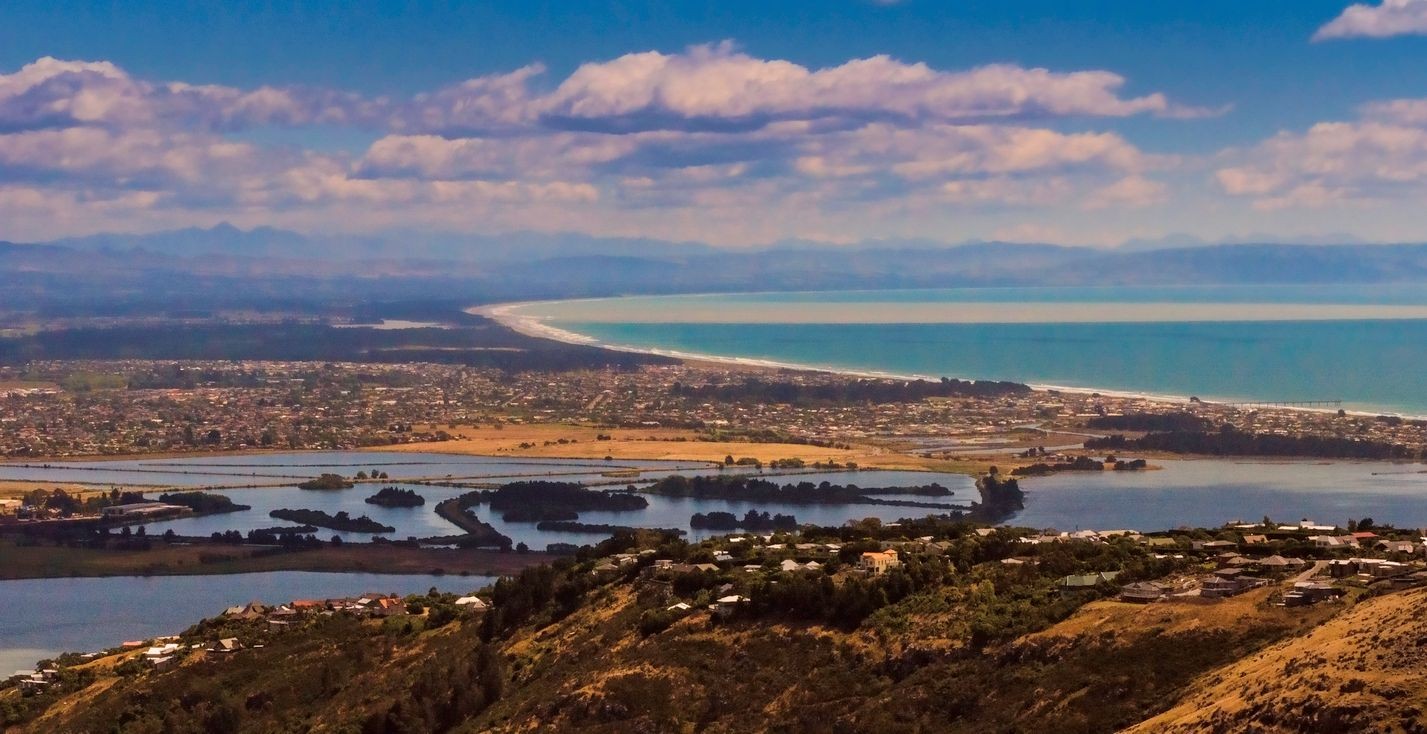 Hygienist - Christchurch 3950023