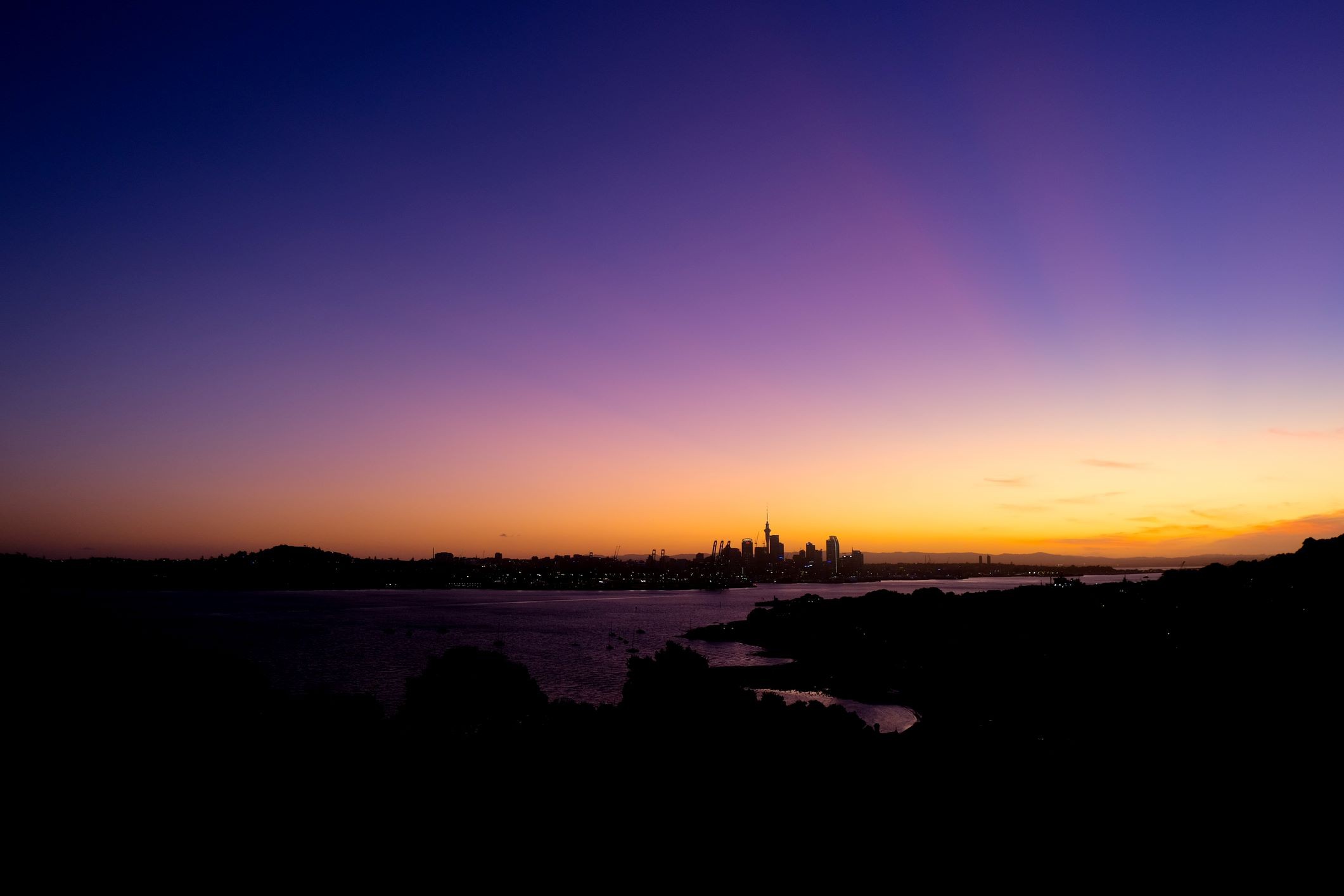 Dental Receptionist - Mt Albert area 3950046