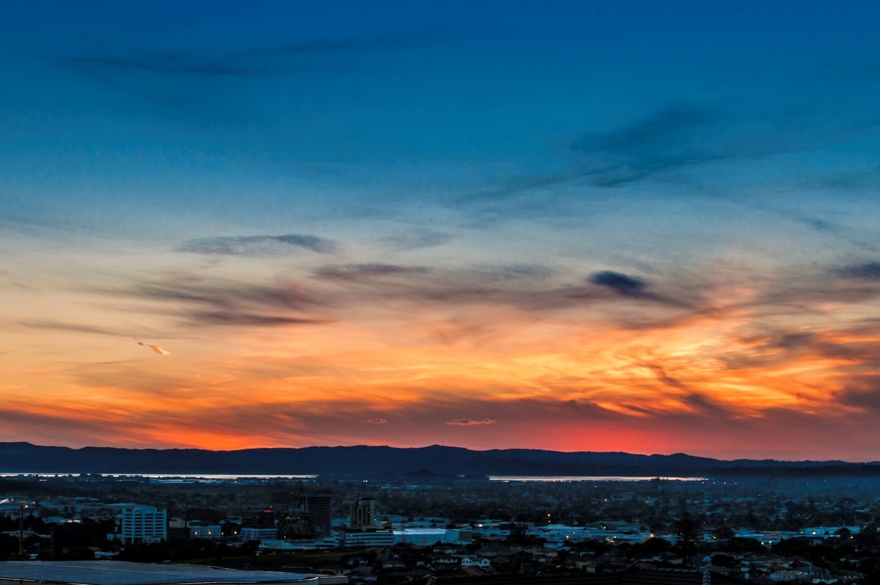 Dentist - Manurewa 3748419