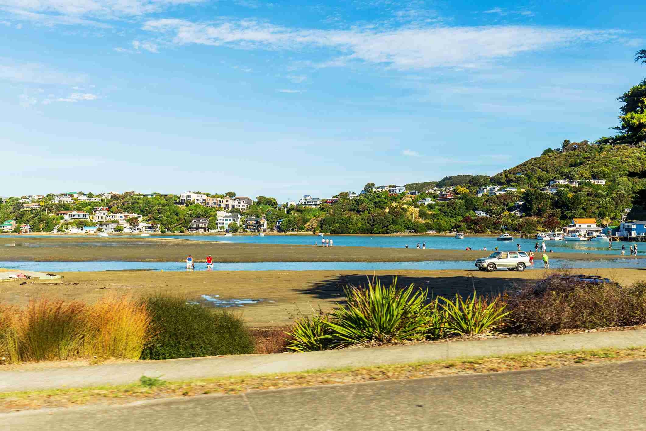 Dentist - Porirua 3454710B