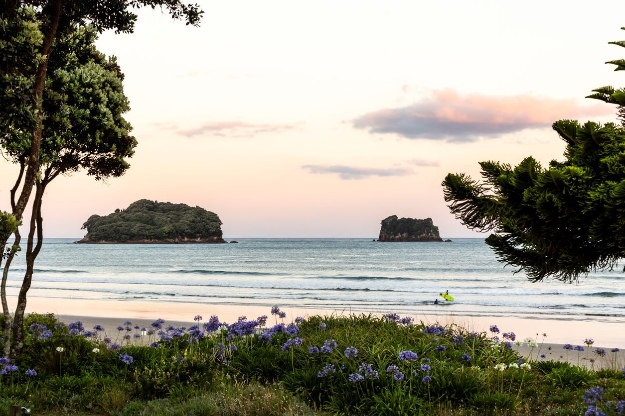 Oral Health Therapist/Hygienist - Whangamata 3972628