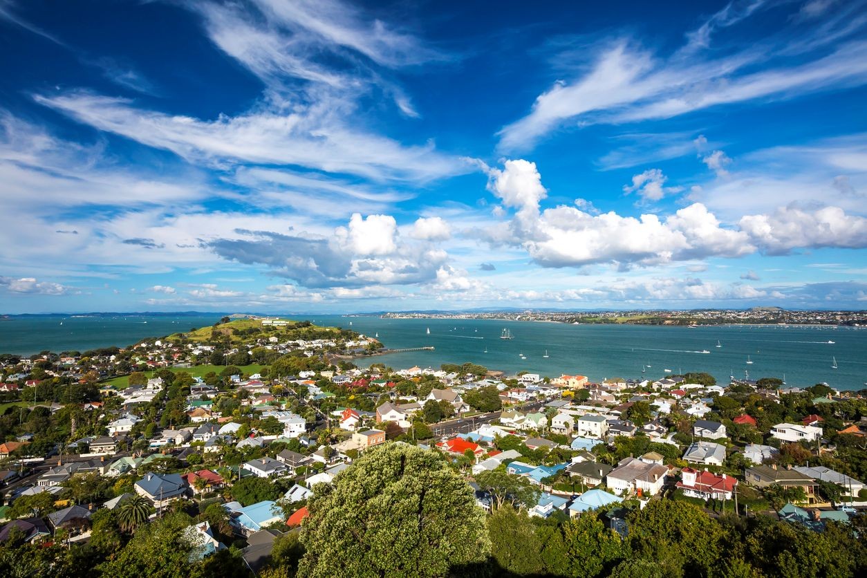 Dentist - North Shore 4004176