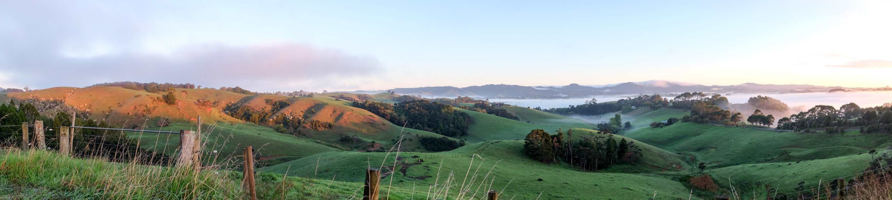 Dentist - North of Auckland 4016489W