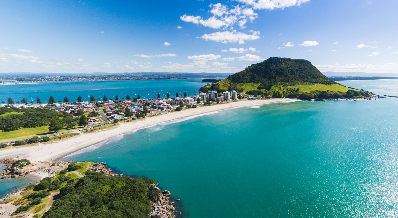 Dentist - Tauranga 3709302
