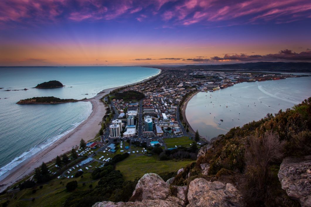 Clinical Dental Technician - Tauranga 4067423