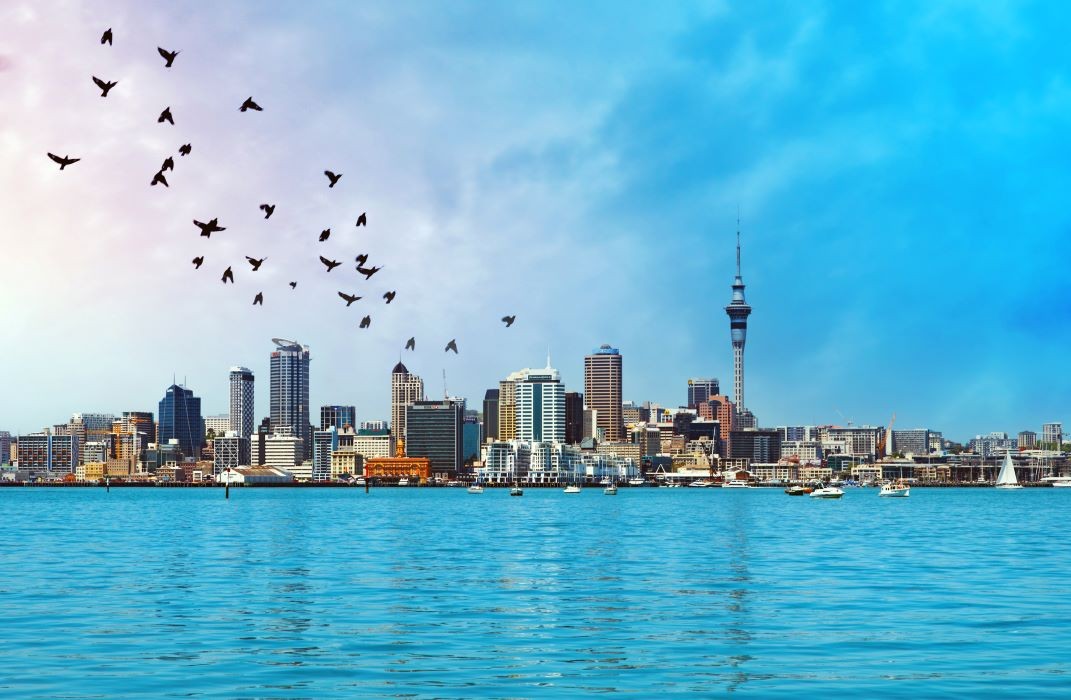 Dental Technicians - Auckland 4076218
