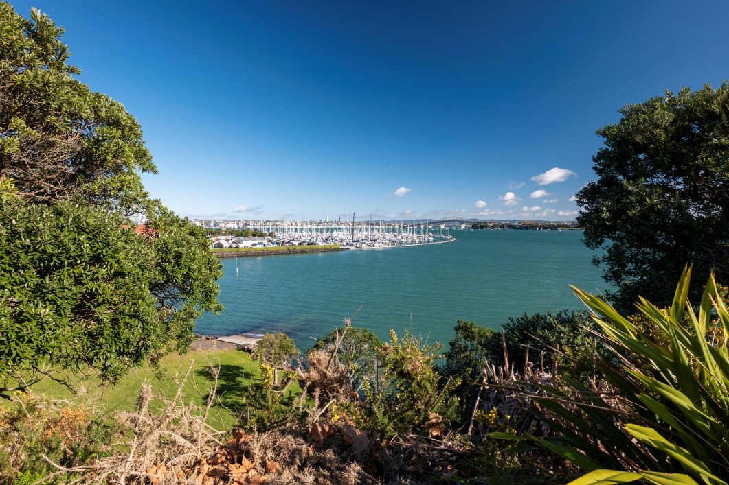 Lead Dentist - North Shore 4086441