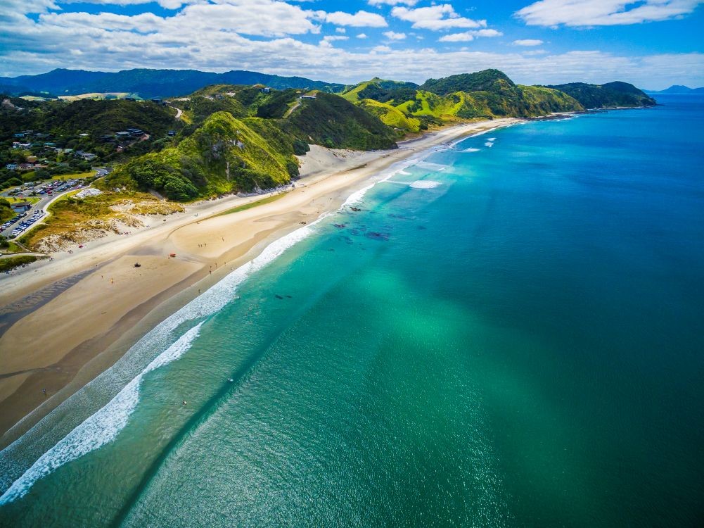 Locum Dentist - Managawhai 3472451L