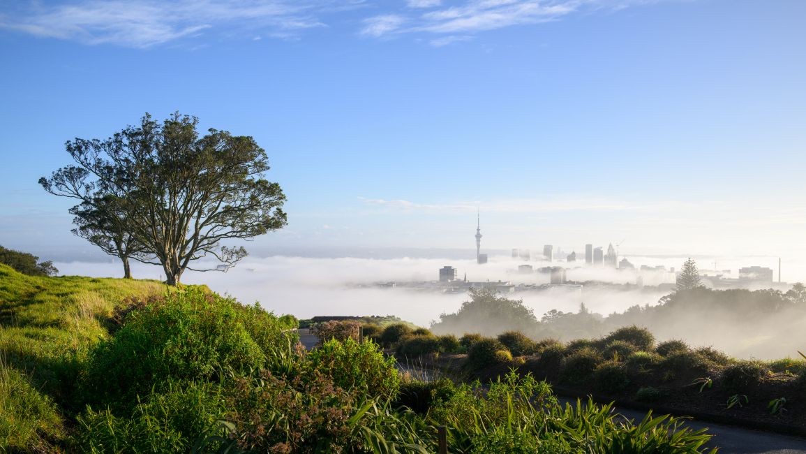 Dentist - Mt Albert, Auckland 4087199